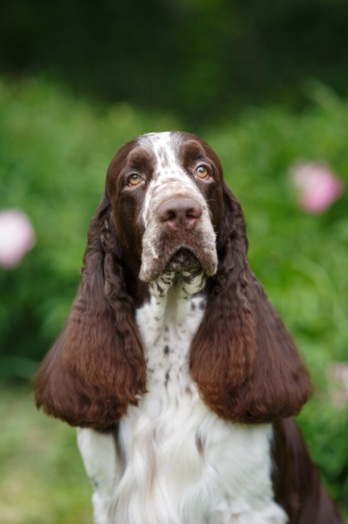 194947-7efa7-110038049-m750x740-ubeaea.j