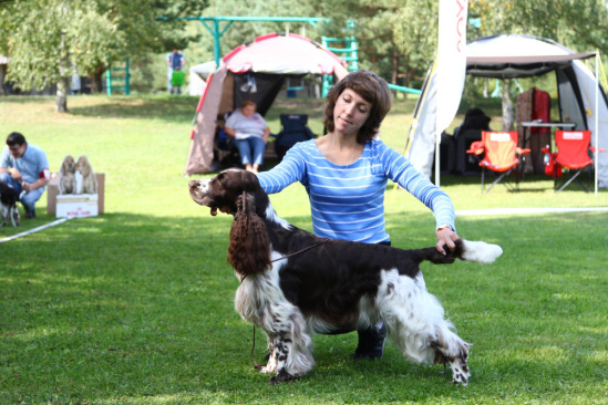 194947-c7056-109260715-m549x500-u20edf.j